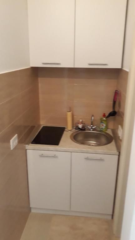 Апартаменты Apartmani Stijepovic Подгорица-65