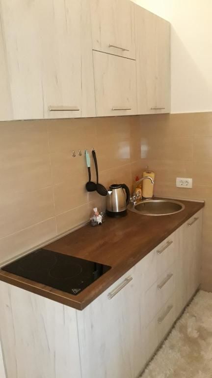 Апартаменты Apartmani Stijepovic Подгорица-76