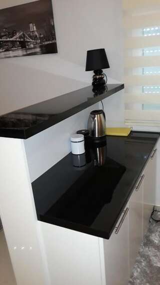 Апартаменты Apartmani Stijepovic Подгорица Апартаменты с 1 спальней-24