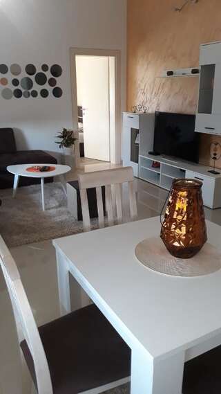 Апартаменты Apartmani Stijepovic Подгорица Апартаменты с 1 спальней-26