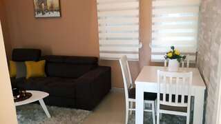 Апартаменты Apartmani Stijepovic Подгорица Апартаменты с 1 спальней-4