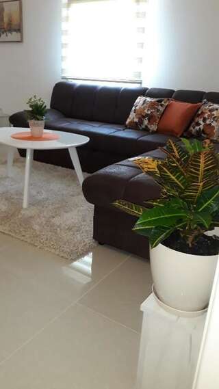 Апартаменты Apartmani Stijepovic Подгорица Апартаменты с 1 спальней-48