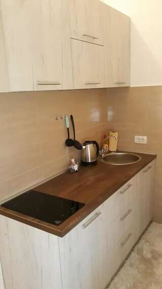 Апартаменты Apartmani Stijepovic Подгорица Апартаменты с 1 спальней-73