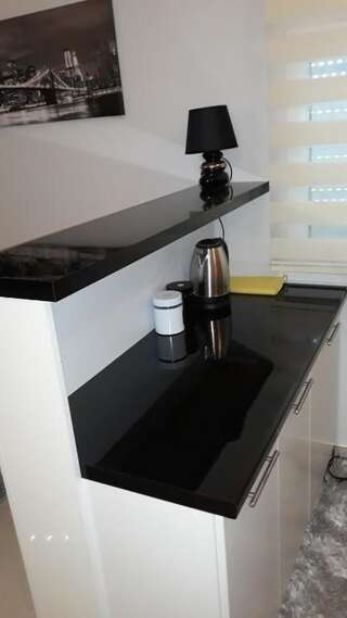 Апартаменты Apartmani Stijepovic Подгорица Апартаменты с 1 спальней-81