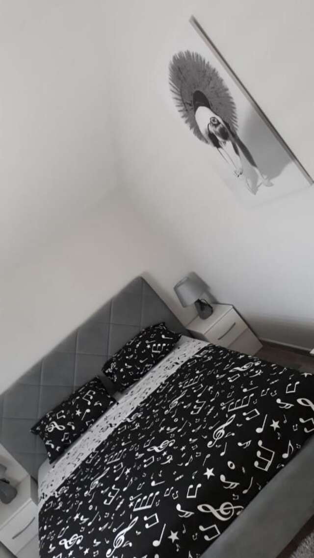 Апартаменты Apartmani Stijepovic Подгорица-29