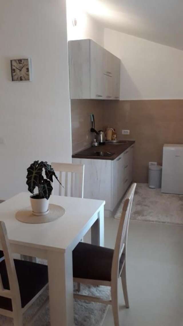 Апартаменты Apartmani Stijepovic Подгорица-60