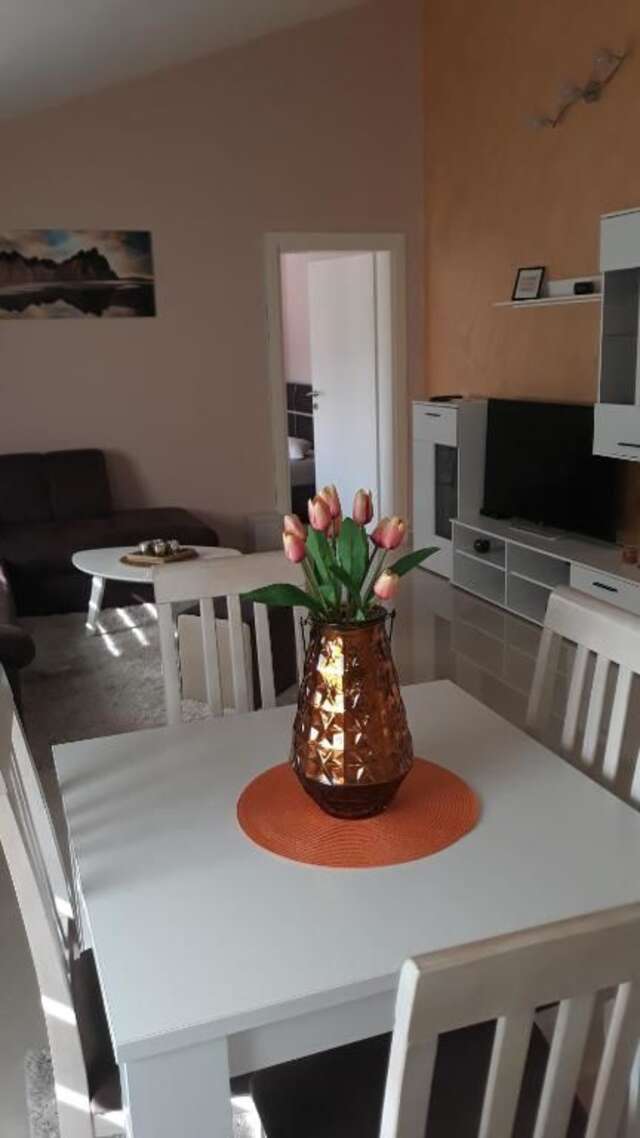 Апартаменты Apartmani Stijepovic Подгорица-98