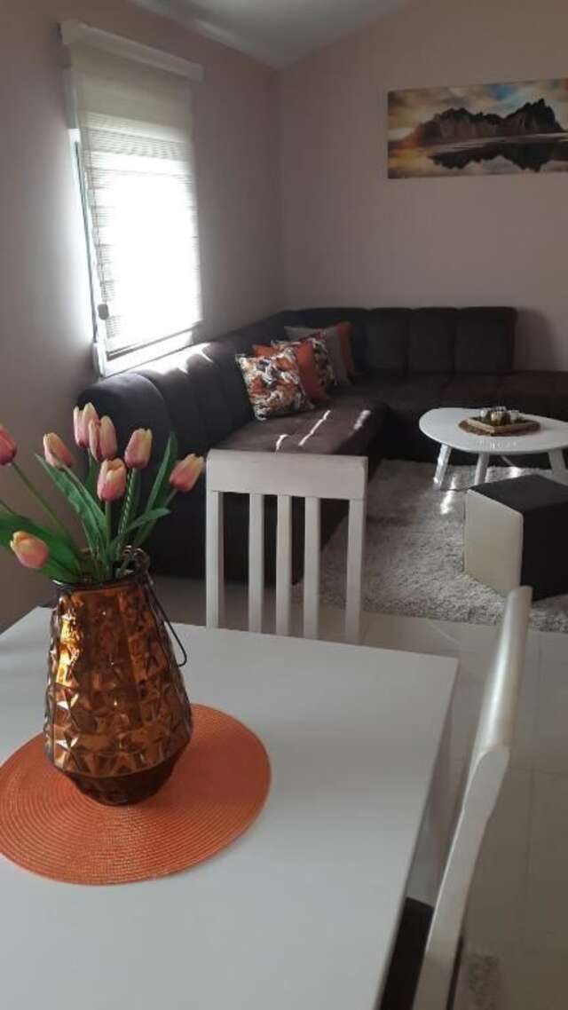 Апартаменты Apartmani Stijepovic Подгорица-100